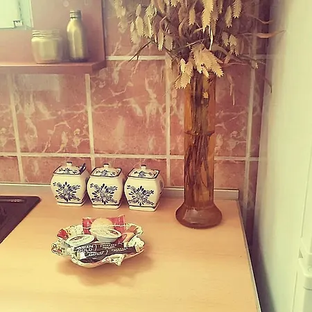 Centar Apartment Kruševac