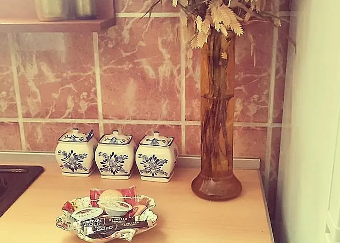 Centar Διαμέρισμα Κρούσεβατς