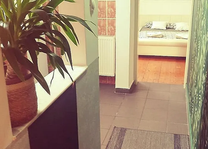 Centar Κρούσεβατς