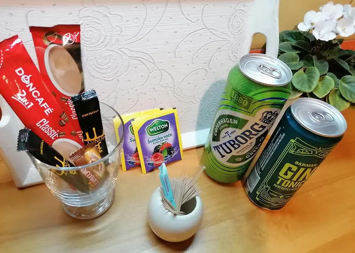 Διαμέρισμα Centar *