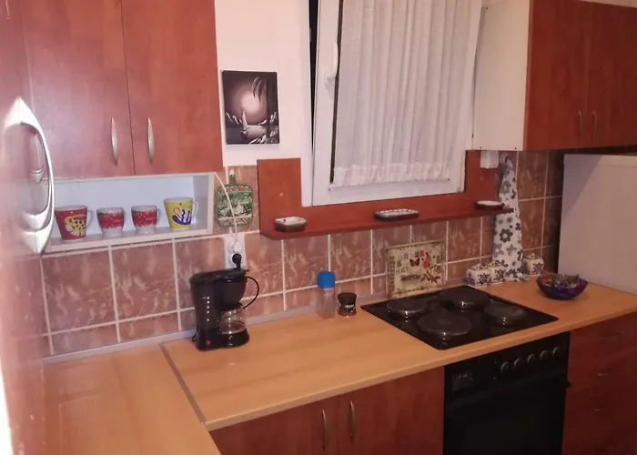 Διαμέρισμα Centar *